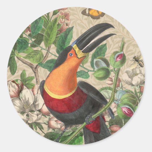 Sticker Rond Toucan Jungle Tropical Bird Belle antique (Devant)
