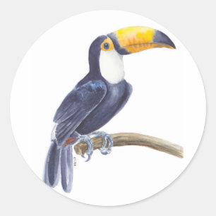 Sticker Rond Toucan, oiseau tropical