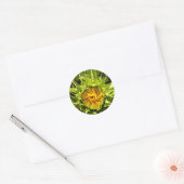 Sticker Rond Tourbillon de tournesol (Enveloppe)