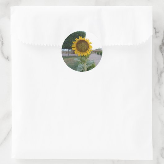 Sticker Rond Tournesol (Sac)