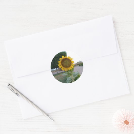 Sticker Rond Tournesol (Enveloppe)
