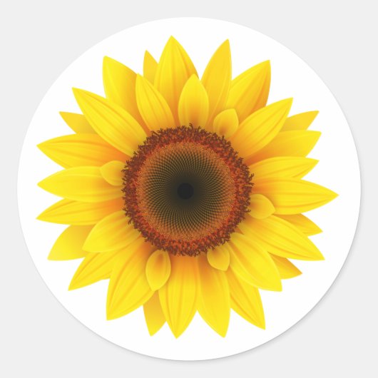 Sticker Rond Tournesol (Devant)