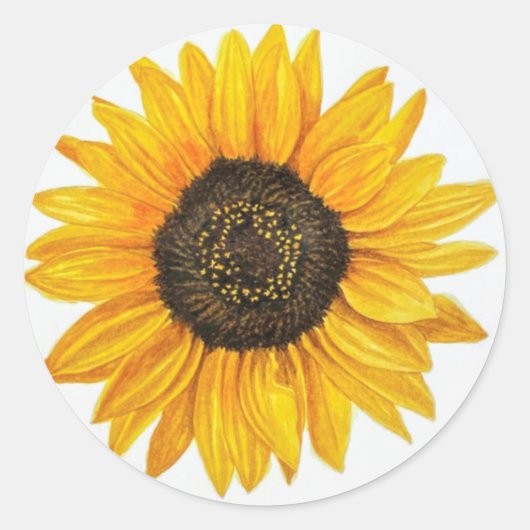 Sticker Rond tournesol  (Devant)