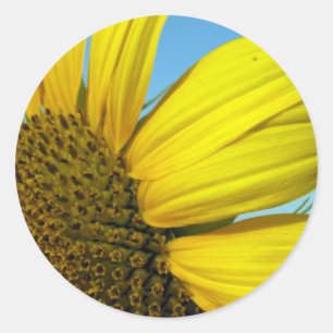 Sticker Rond Tournesol
