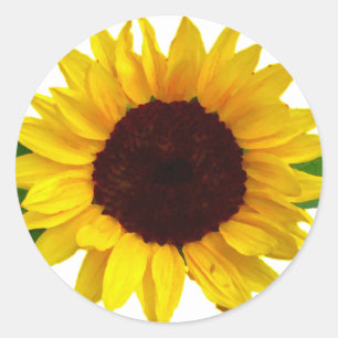 Sticker Rond Tournesol