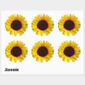 Sticker Rond Tournesol (Feuille)