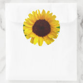 Sticker Rond Tournesol (Sac)