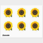 Sticker Rond Tournesol (Feuille)