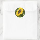Sticker Rond Tournesol (Sac)