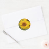 Sticker Rond Tournesol Floral (Enveloppe)