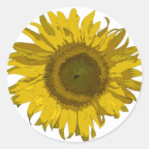 Sticker Rond Tournesol jaune