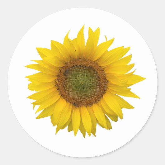 Sticker Rond Tournesol Jaune rustique (Devant)