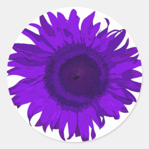 Sticker Rond Tournesol violet blanc
