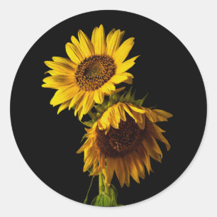 Sticker Rond Tournesols