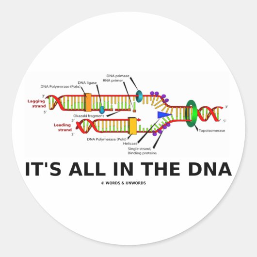 Sticker Rond Tout est dans l'ADN (Devant)