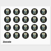Sticker Rond Trafoi Passo dello Stelvio (Feuille)