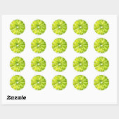 Sticker Rond Tranche de citron vert (Feuille)