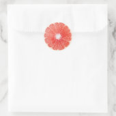 Sticker Rond Tranche de pamplemousse (Sac)