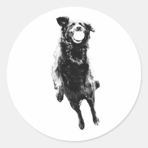 Sticker Rond Transport de balle silencieux