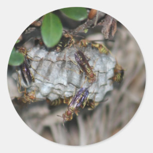 Sticker Rond Traqueur Jackers #2