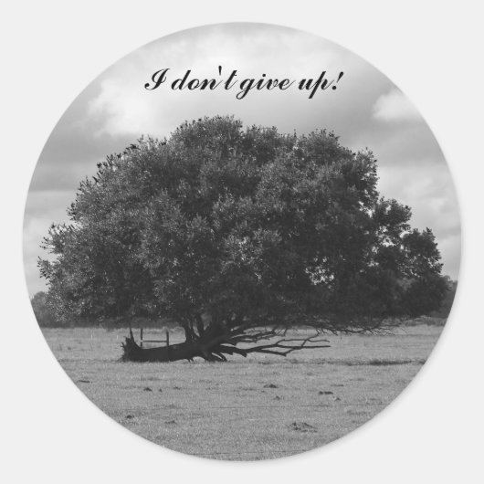 Sticker Rond Tree of Life (Devant)