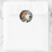 Sticker Rond Trek Walker Coonhound En Bois (Sac)