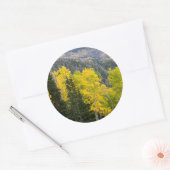 Sticker Rond Trembles (Populus Tremuloides) et conifères 2 (Enveloppe)