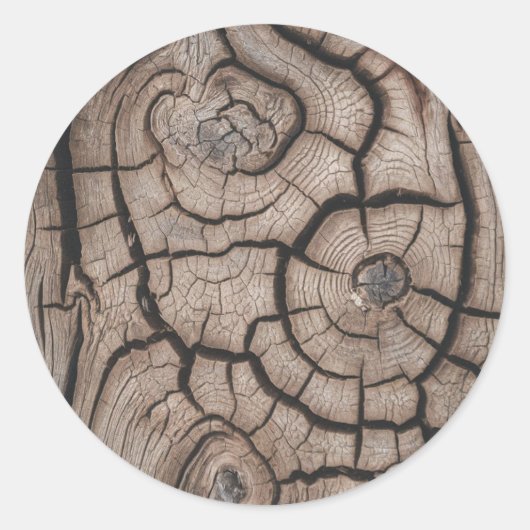 Sticker Rond Trendy Wood Wooden Tree Logs (Devant)