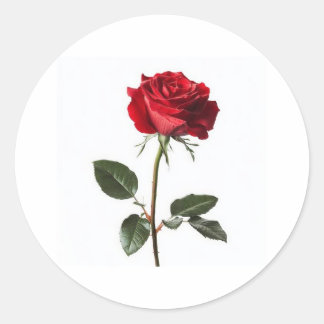 Sticker Rond Très beau, 👍 joli design