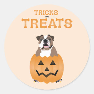 Sticker Rond Tricks Pour Traitements Français Bulldog Orange
