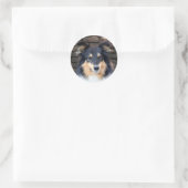 Sticker Rond Tricolor Sheltie face (Sac)