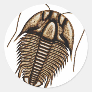 Sticker Rond Trilobite