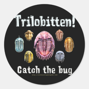 Sticker Rond Trilobitten