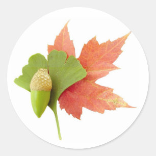 Sticker Rond Trio d'automne