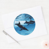 Sticker Rond Trio de dauphins (Enveloppe)