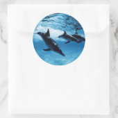 Sticker Rond Trio de dauphins (Sac)