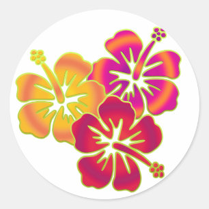 Sticker Rond trio hibiscus