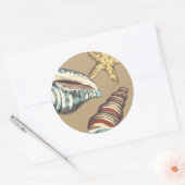 Sticker Rond Trio Shell sur Khaki (Enveloppe)