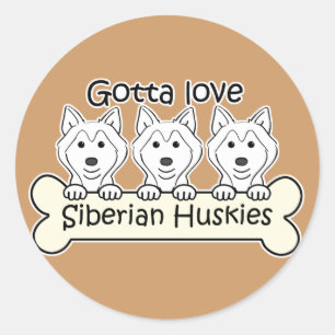Sticker Rond Trois chiens de traîneau sibériens