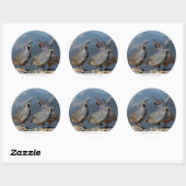 STICKER ROND TROIS COURRIER ET SHASTA (Feuille)