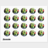 Sticker Rond Trois Lorikees (Feuille)