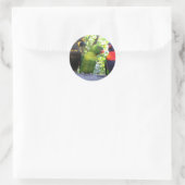 Sticker Rond Trois Lorikees (Sac)