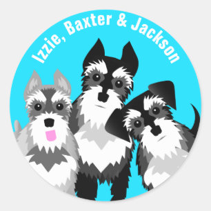 Sticker Rond Trois mignons Schnauzers