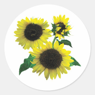Sticker Rond Trois tournfleurs