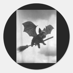 Sticker Rond Troll di Yorkshire Balai de Sorcière Ailes de Chau