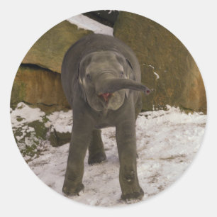 Sticker Rond Trompette Baby Elephant Dans La Neige