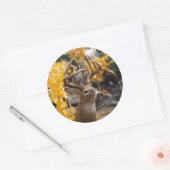 Sticker Rond Trophée Deer (Enveloppe)
