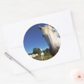 Sticker Rond Troupeau de Chevaux blancs (Enveloppe)