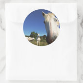 Sticker Rond Troupeau de Chevaux blancs (Sac)