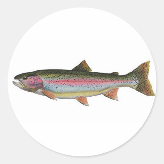 Sticker Rond Truite arc-en-ciel